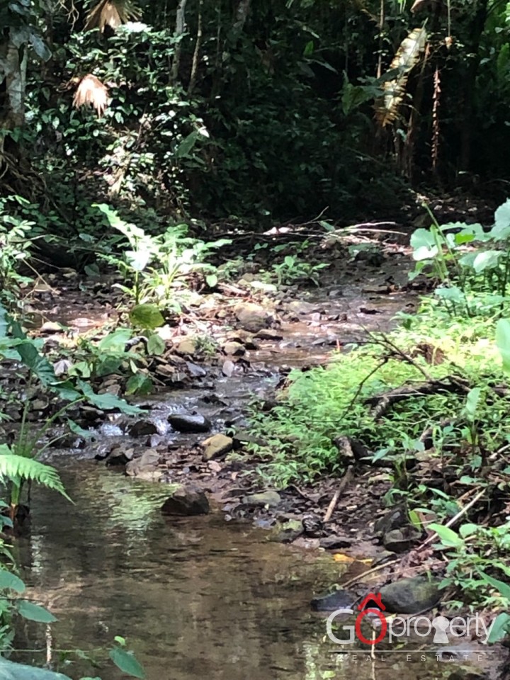 Se vende lote en Quebrada Ganado, Garabito